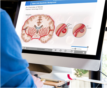 Clinical Brain