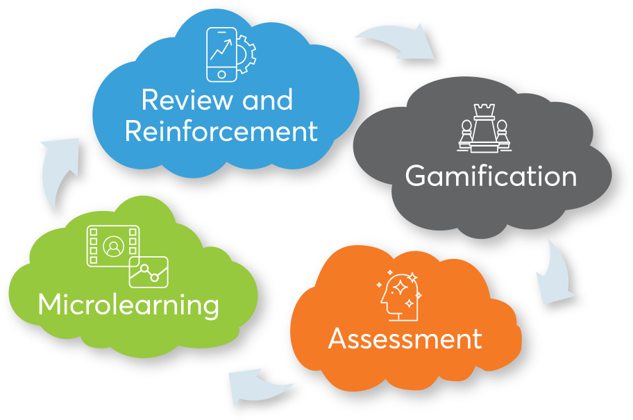 Review and Reinforcment